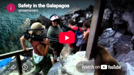 Safety in the Galápagos